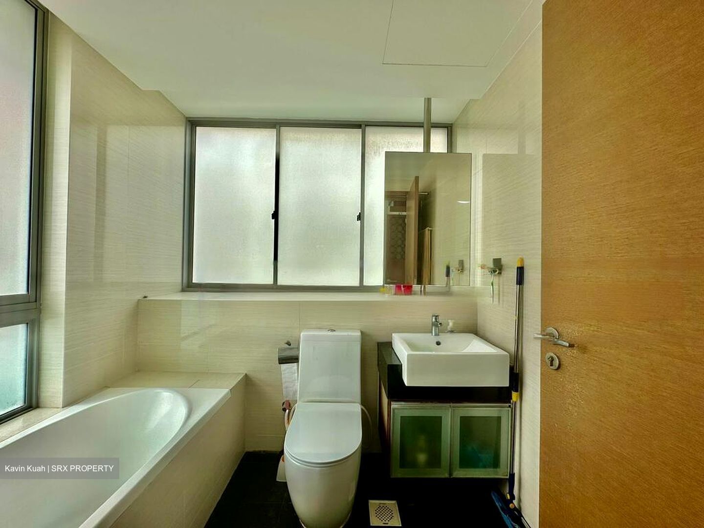 Centrina (D15), Apartment #459150921